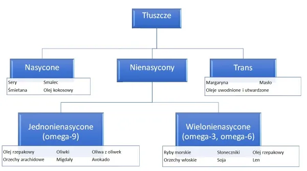 podział tłuszczów